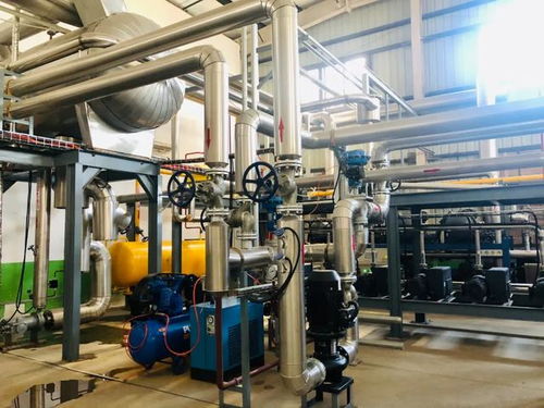 探廠國(guó)內(nèi)寵物食品凍干廠,國(guó)產(chǎn)凍干好不好,可以親自去工廠看看啊