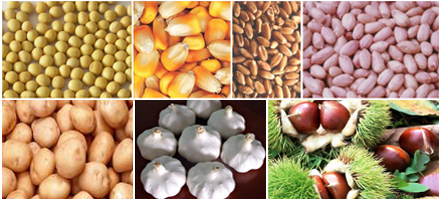 食品、農(nóng)產(chǎn)品