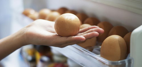 衛(wèi)生 駐馬店新聞 駐馬店廣視網(wǎng)