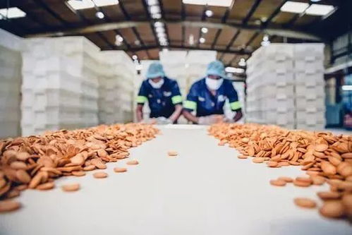 邊角料食品 莫讓“省錢寶藏”變成“零食刺客”